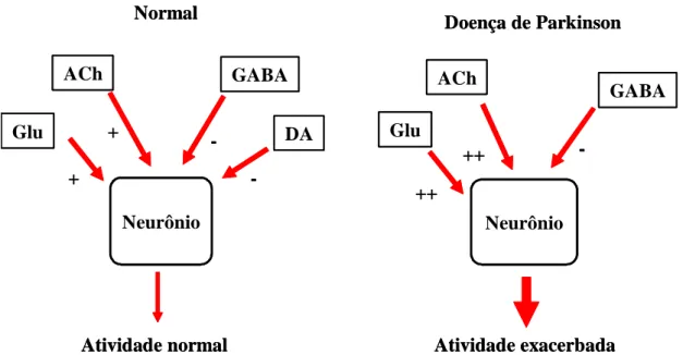 Figura 3 - O balanço entre as ações estimuladoras (via glutamato-Glu e acetilcolina- acetilcolina-ACh)  e  inibitórias  (GABA  e  DA-DA)  mantendo  o  funcionamento  normal  do  circuito  neuronal  e  as  possíveis  alterações  que  ocorrem  na  doença  de