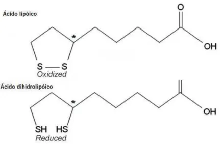Figura  4.  As  formas  oxidadas  e  reduzidas  do  ácido  α-lipóico.  Fonte:  GORACA  et  al.,  2011  