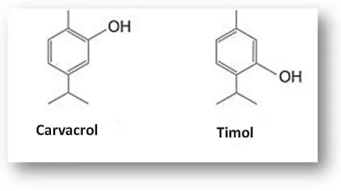Figura 8. Estruturas químicas de Carvacrol e Timol. 
