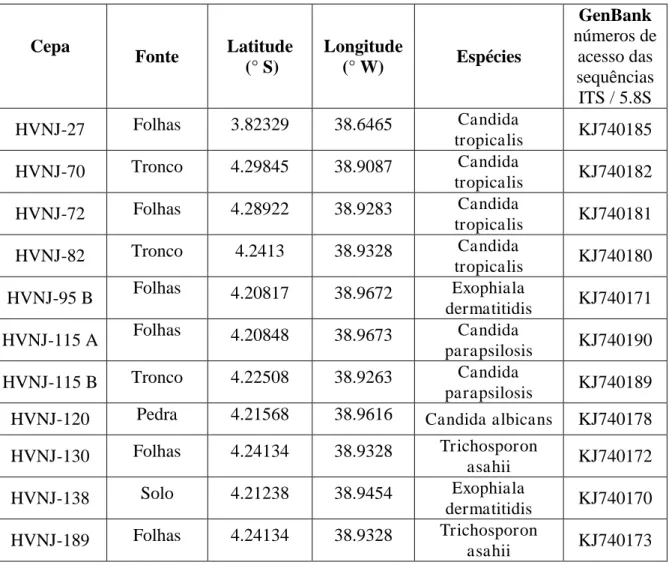 Tabela 1. Cepas de leveduras isoladas de amostras ambientais no estado do Ceará.  Cepa  Fonte  Latitude   (° S)  Longitude (° W)  Espécies  GenBank   números de acesso das   sequências  ITS / 5.8S   HVNJ-27  Folhas  3.82329  38.6465  Candida  tropicalis KJ