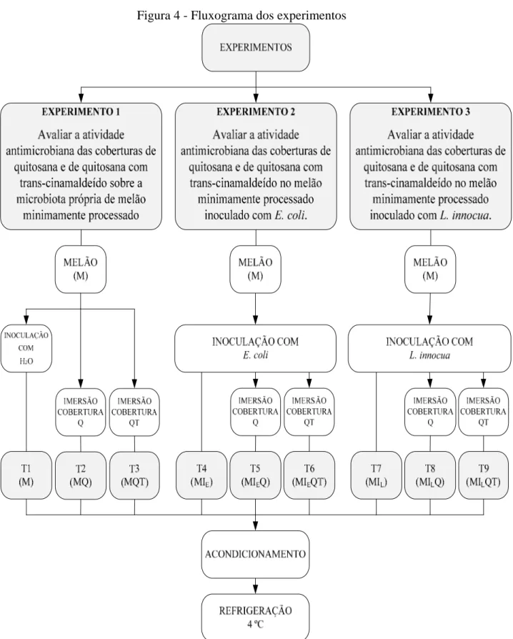 Figura 4 - Fluxograma dos experimentos 