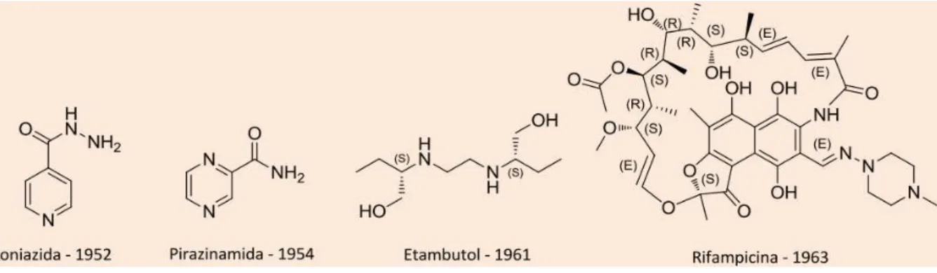 Figura 3 - Fármacos de primeira linha utilizados no tratamento da TB e ano de sua descoberta