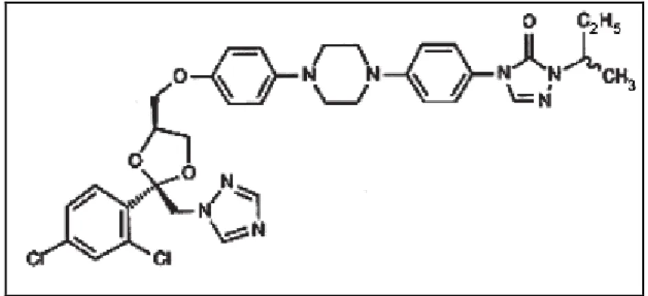 Figura  6  –  Estrutura  química  do  itraconazol.  Fonte:  MARQUES,  2009. 