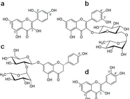 Figura  6  –  Flavonoides  estudados  pelo  Grupo  de  Pesquisa  em  Bioquímica  de  Macromoléculas, coordenado pelo Prof