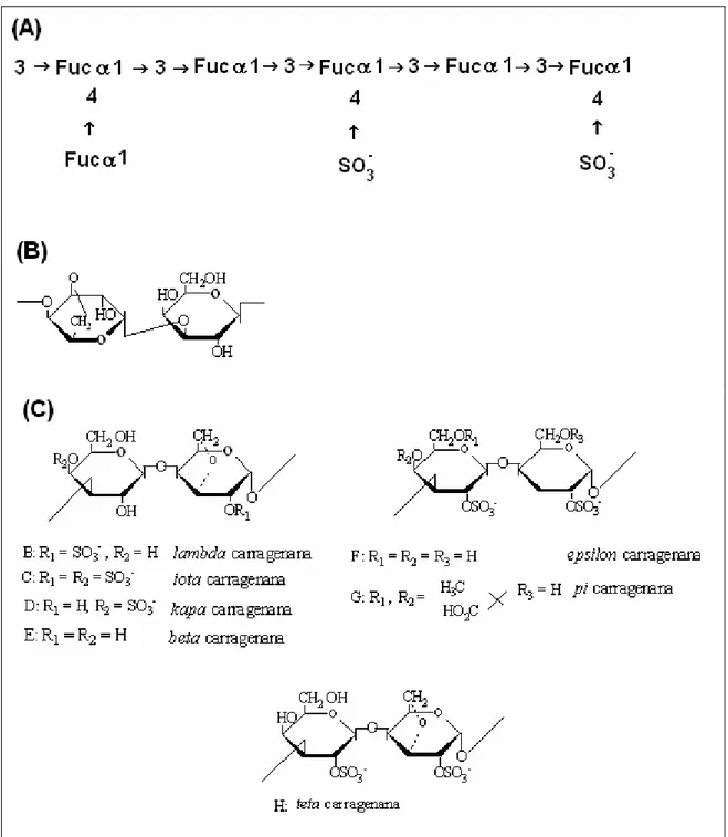 Figura 2.  Estruturas químicas de polissacarídeos sulfatados de algas marinhas: 