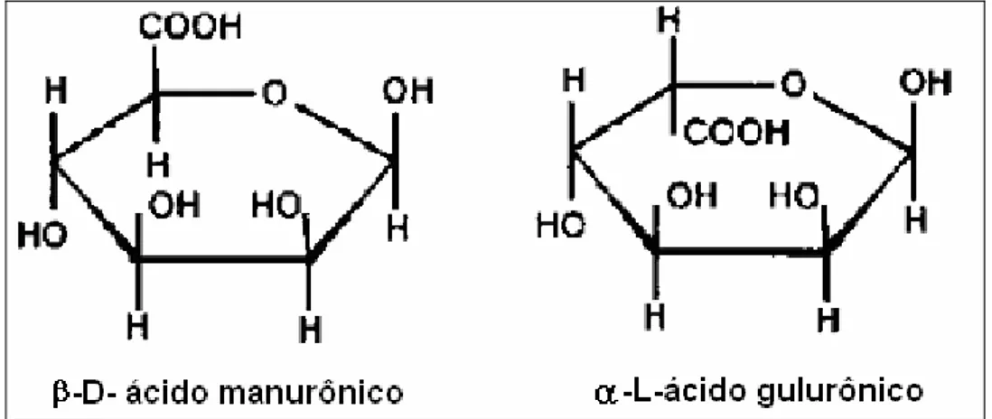 Figura 3.  Unidades  monoméricas do ácido algínico presente em algas  marinhas pardas (FAO, 1987)