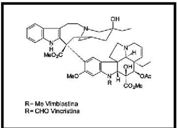 Figura 11 - Estruturas dos alcaloides indólicos vimblastina e vincristina