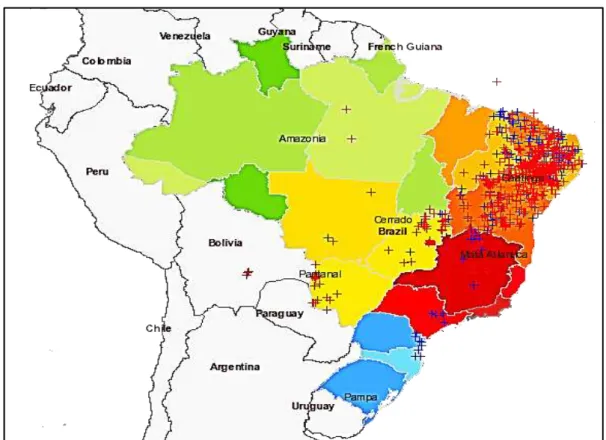 Figura 13 - Distribuição geográfica do Aspidosperma pyrifolium Mart. no Brasil. 