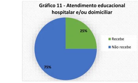Gráfico 11 - Atendimento educacional  hospitalar e/ou doimiciliar