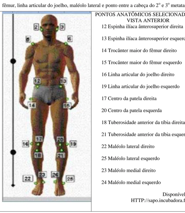 Figura 5. Pontos anatômicos utilizados nas medidas angulares posturais, na vista anterior 