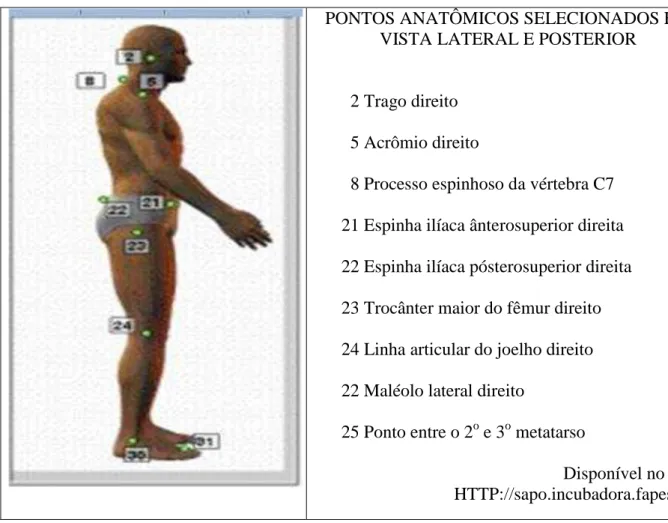 Figura 6. Pontos anatômicos utilizados nas medidas angulares posturais, na vista lateral