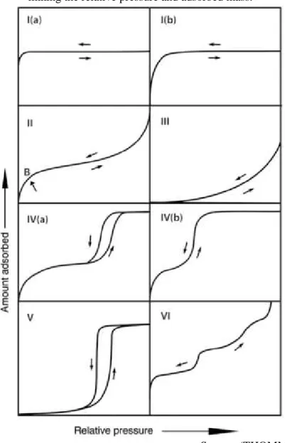 Figure 6. Classification of vapor adsorption isotherms combining proposal from IUPAC,  linking the relative pressure and adsorbed mass.