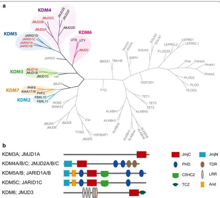 Figure S2). Recently, potent inhibitors of the KDM5 family  with good cellular activity have been described by  Epithera-peutics (Table 1; Additional ile 3: Figure S2; Additional ile 4: 