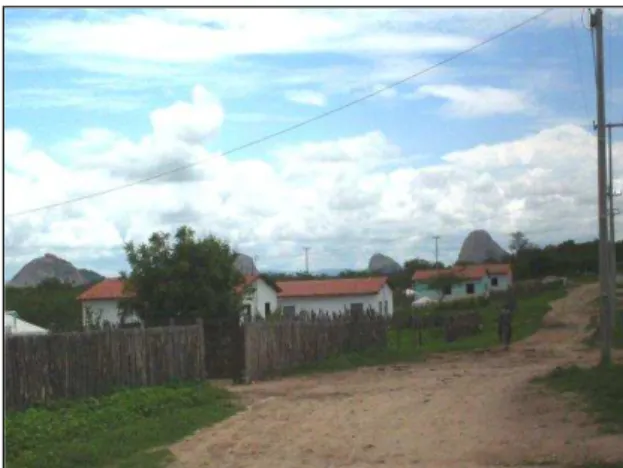 FIGURA 13  –  Distribuição dos produtores e não produtores de mamona em relação à                            estrutura das casas nos assentamentos 