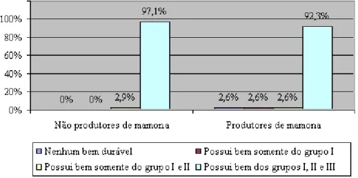 FIGURA 19  –  Distribuição dos produtores e não produtores de mamona em relação à posse                            de bens duráveis 