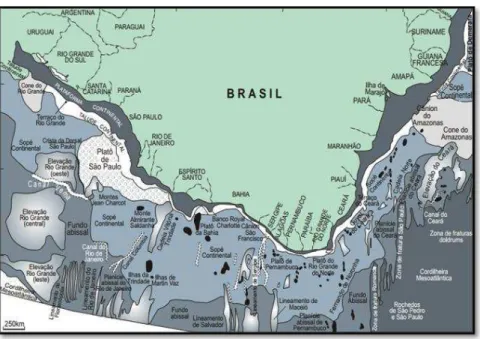 Figura 04 - Esboço da margem continental do Brasil (projetada do alto)