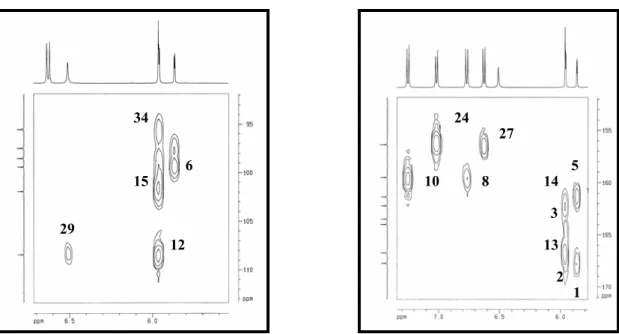 Figura 15b- Expansões do espectro HMBC de ACCE-5: (I)  δ  5,5-7,5 x 95,0-133; (II)  δ  5,8- 5,8-7,4 x 152-171