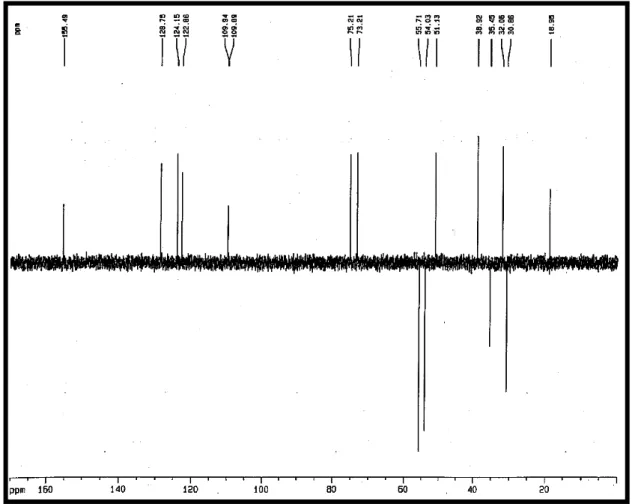 Figura 7 - Espectro de RMN  13 C – DEPT - 135°  [125 MHz, (CD 3 ) 2 CO] de HP-1 