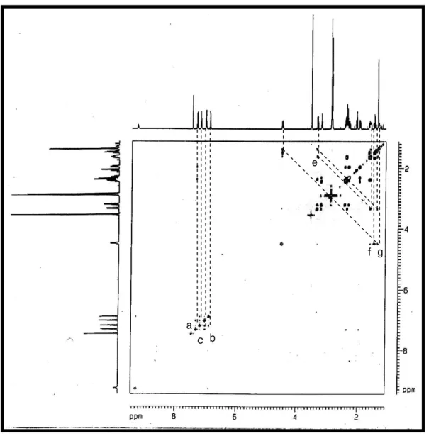 Figura 8 –  Espectro de  1 H,  1 H  –  COSY [500 x 500 MHz, (CD 3 ) 2 CO] de HP-1  8 7132 9NHO H HH H111012a b c 15 1620 1718 22 23N21O COOMeCH3HHHH1914fgeacbdef g