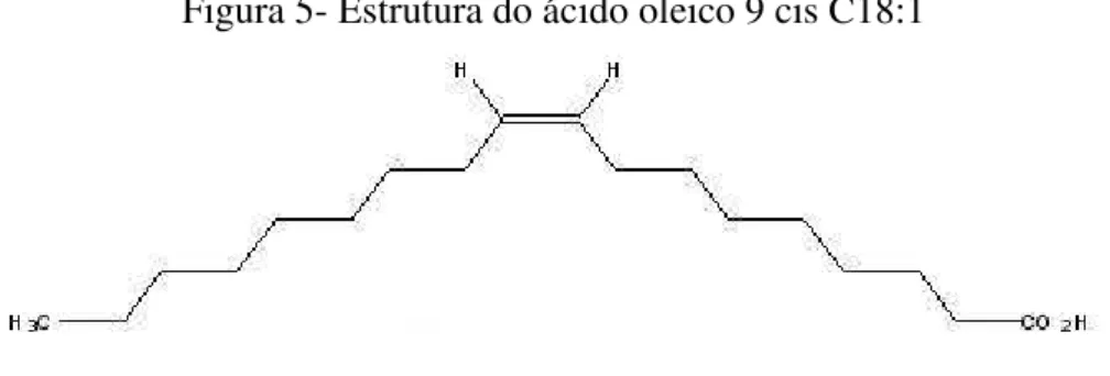 Figura 5- Estrutura do ácido oleico 9 cis C18:1