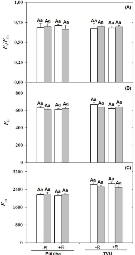 Figura 5  –  Relação entre a fluorescência variável e máxima (F v /F m , A), fluorescência inicial  (F 0 ,  B)  e  fluorescência  máxima  (F m ,  C)  de  plantas  de  feijão  de  corda  Pitiúba  (tolerante  à  salinidade)  e  TVu  (sensível  à  salinidade)