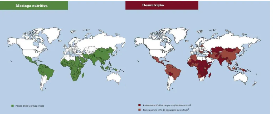 Figura 3 - Associação entre os países que têm maior índice de desnutrição e aqueles onde a Moringa cresce