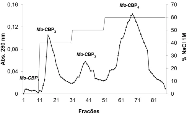 Figura 3 - Cromatografia de troca iônica em matriz de CM-Sepharose 