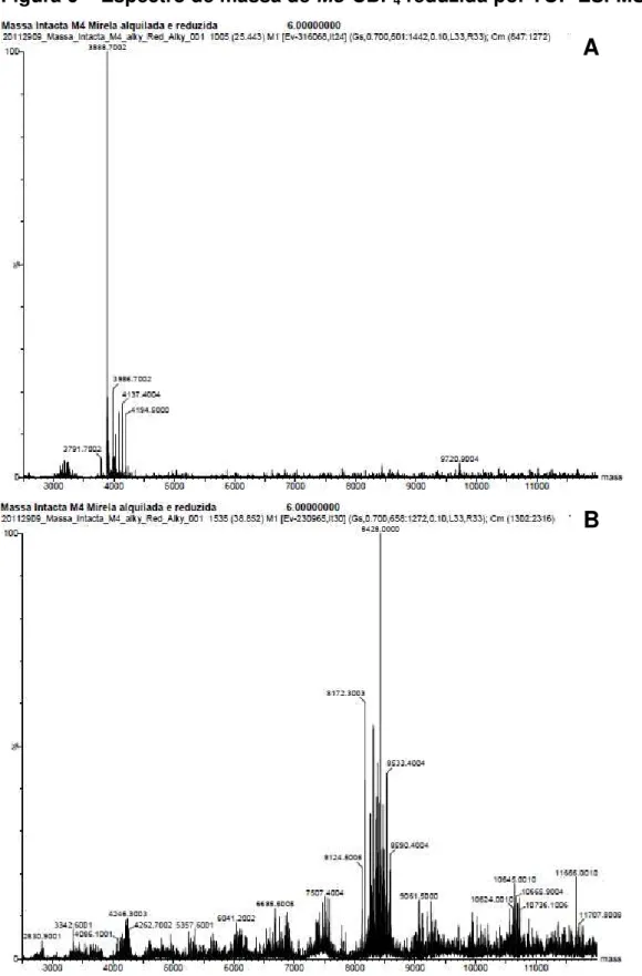 Figura 6  –  Espectro de massa de Mo-CBP 4  reduzida por TOF-ESI-MS 