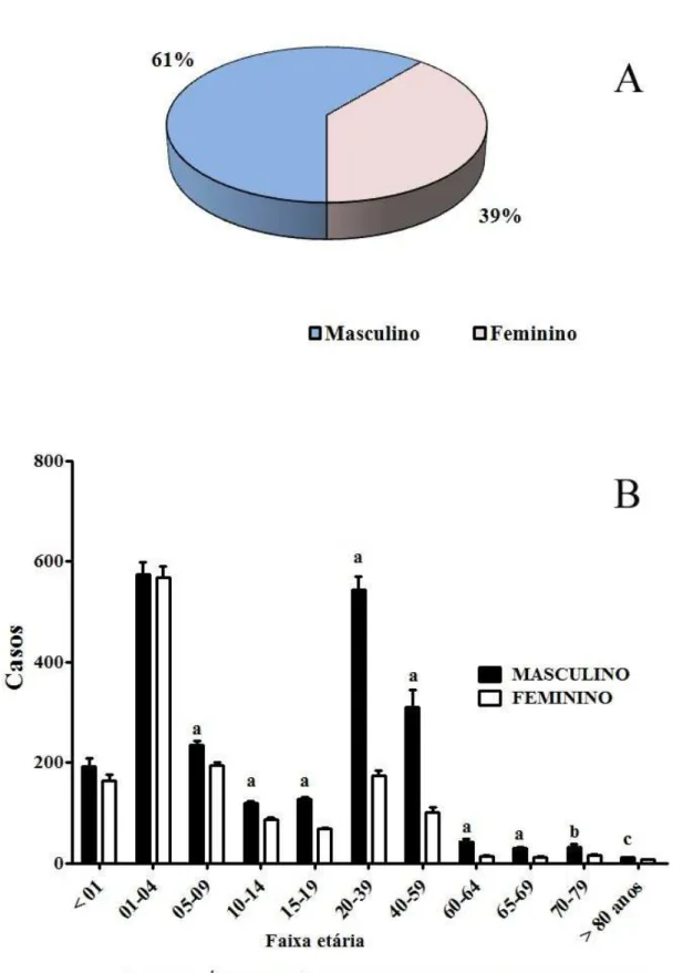 Figura 18  –  A. Distribuição dos casos por gênero (masculino e feminino). B. Distribuição dos casos por gênero e  estratificada por faixa etária