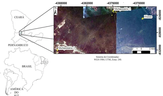 Figura 4  –  Detalhe dos mapas da América do Sul, Brasil, Ceará e Pernambuco, destacando a localização  dos meliponários 1 e 2, usados para manejo e estudo da espécie