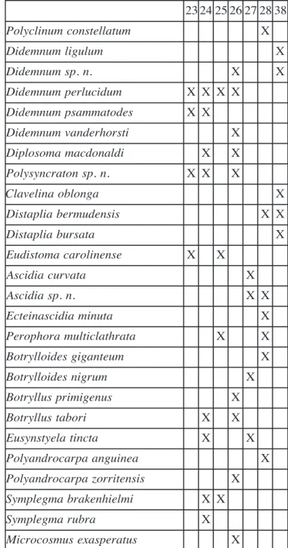Tabela 2  - Espécies coletadas durante a campanha Espírito Santo, por ponto de coleta.
