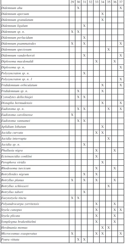 Tabela 3  - Espécies coletadas durante a campanha Bahia, por ponto de coleta.
