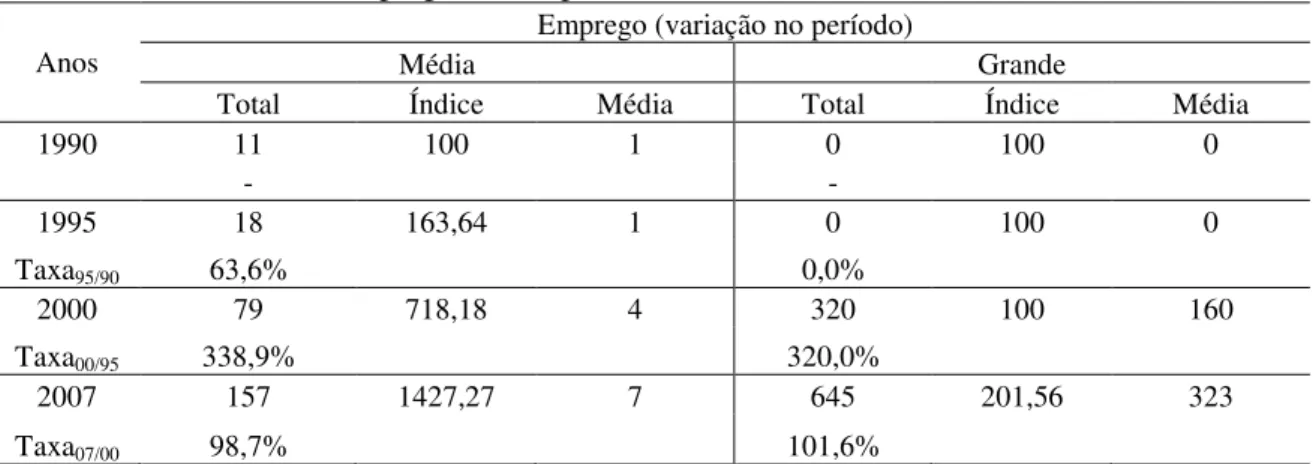 Tabela 21 – Evolução do Emprego nas Empresas (Continuação)  Anos 