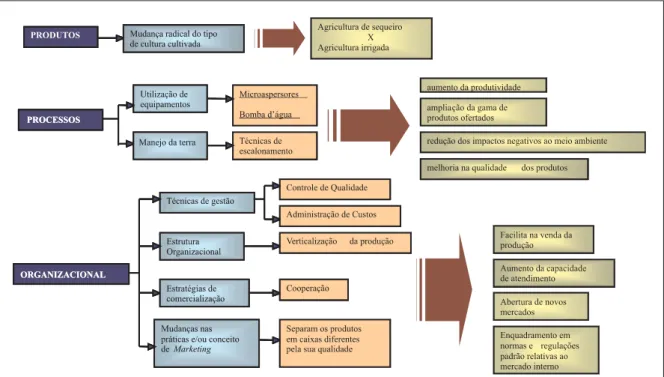 Figura 1 – Estrutura do Processo de Inovações e dos Impactos Gerados Dentro do Arranjo   Produtivo Pingo d’Água