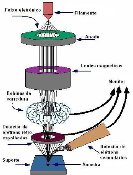 Figura 2.9. Esquema de funcionamento de um microscópio eletrônico de varredura (SEM). 