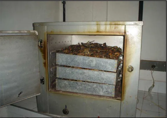 FIGURA 3.8 – Secagem do material coletado em estufa a 80 o C por 12 horas.