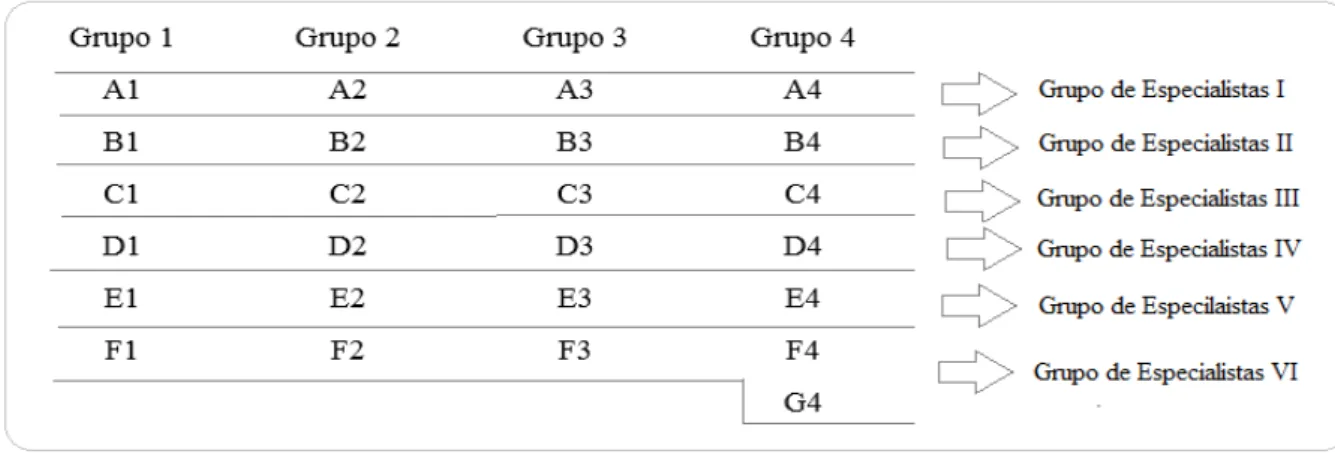 Figura 3: Divisão dos grupos de especialistas. 