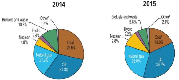 Figure 2.1: Energy consumption from different sources in global scale. Other – includes geothermal, solar, wind, heat, etc.