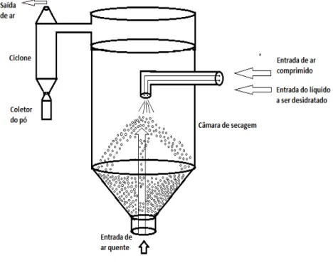 Figura 2 - Esquema de um secador leito de jorro com partículas inertes. 