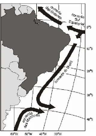 Figura 3 - Circulação geral ao longo do litoral brasileiro  (fonte: http://cursos.unisanta.br/oceanografia/correntes_marinhas.htm