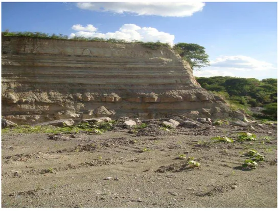Fig. 3.3: Seção da Mina Pedra Branca/Formação Ipubi. 