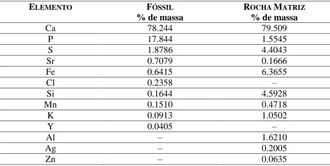Tabela 4.1: Quantidades relativas em percentual de massa dos elementos no  fóssil do terópoda e na rocha matriz