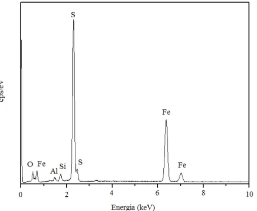 Fig. 4.12: Espectro de dispersão de energia de raios-X (EDS) da planta fóssil.