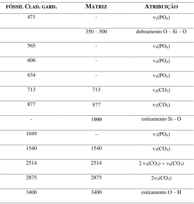 Tabela 4.4: Freqüências de alguns dos modos ativos no IR (em cm -1 ) que aparecem nos  espectros FTIR do fóssil de  Cladocyclus gardneri  e da matriz, e a atribuição tentativa 