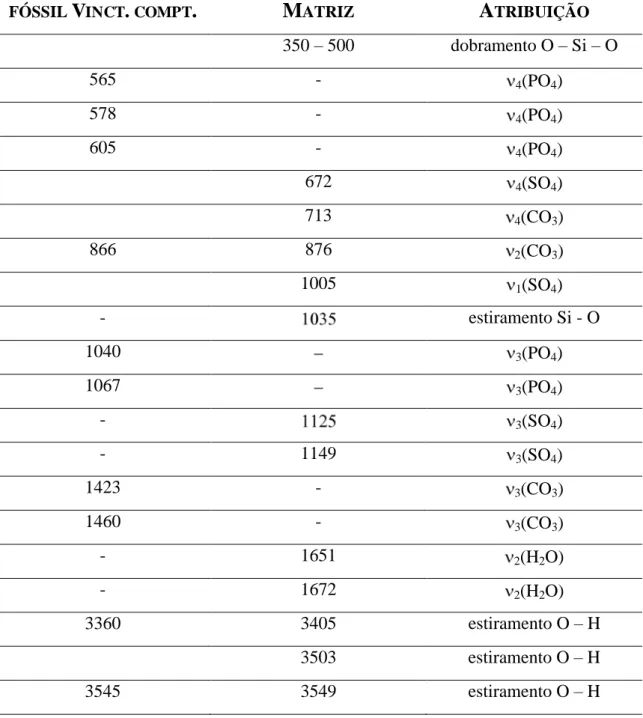 Tabela 4.5: Freqüências de alguns dos modos ativos no IR (em cm -1 ) que aparecem nos  espectros FTIR do fóssil de  Vinctifer comptoni  e da matriz, e a atribuição tentativa dos 