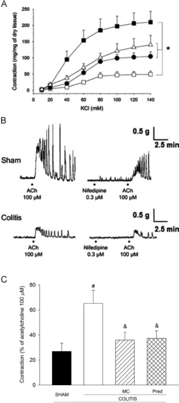 Fig. 7 also shows that the contractions developed by isolated strips of rat colon in response to a supramaximal concentration of acetylcholine (100 mM) were decreased in animals from colitis group