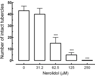 Figure 4. Morphological changes on the tegument of S. mansoni male worms after  treatment with nerolidol