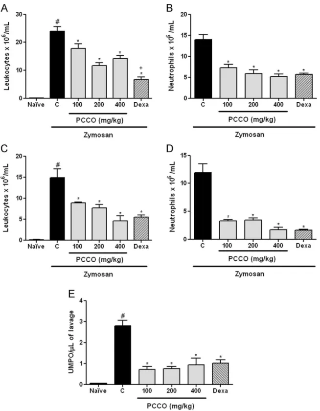 Fig. 2. Effect of PCCO pretreatment on leukocyte inﬂux in the knee and on myeloperoxidase (MPO) activity in joint ﬂuid