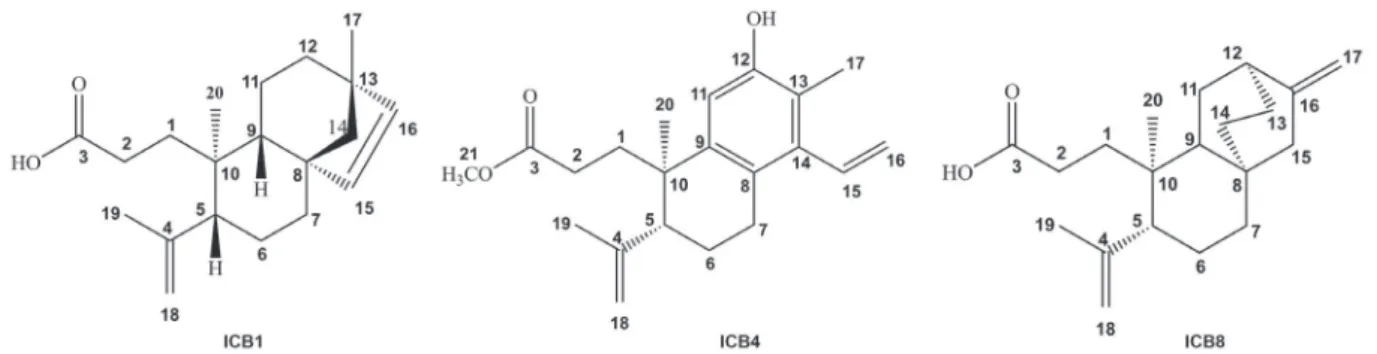 Figure 1. Structures of the seco-diterpenes isolated from the hexane extract from roots of the three individual specimens of C