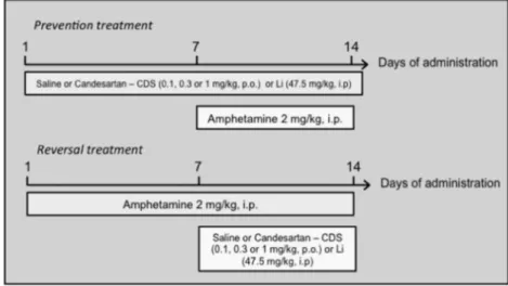 Fig. 1 Overview of the treatment protocol.